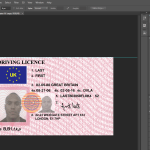 UK drivers License PSD Template 2024