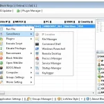 BlackWorM v6.0
