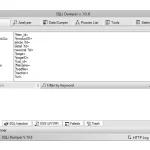 SQLi Dumper V 10.6